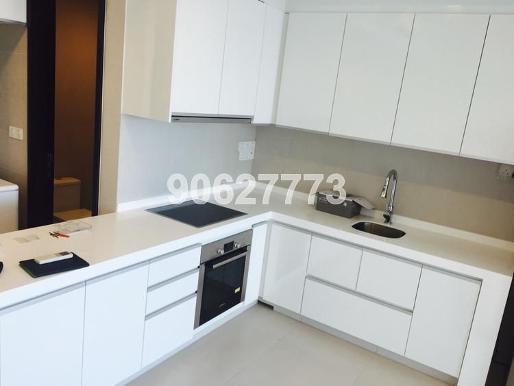 The Rochester Residences (D5), Apartment #117124532